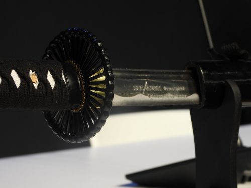 dscn0475 49133045401 l