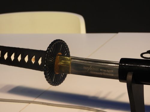 dscn0476 49133044801 l